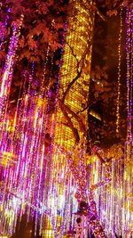 Low angle view of illuminated lanterns