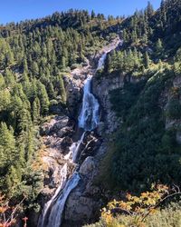 Scenic view of waterfall in forest