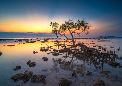 Scenic view of sea against sky during sunset