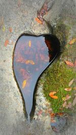 Close-up of painted wall