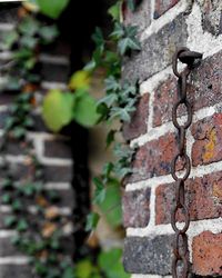 Close-up of brick wall and a rusty chain