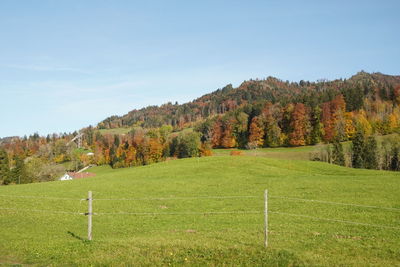 Scenic view of landscape against sky during autumn