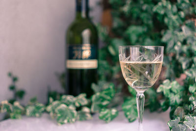 Close-up of wine in glass on table