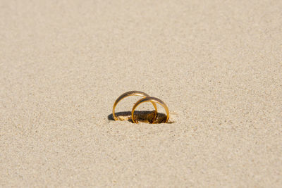 Close-up of wedding rings on beach