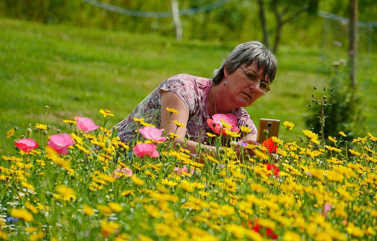 flower, one person, nature, day, outdoors, selective focus, growth, field, leisure activity, real people, plant, yellow, casual clothing, mature adult, lifestyles, beauty in nature, fragility, freshness, flower head, close-up, people