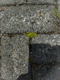 High angle view of small wall