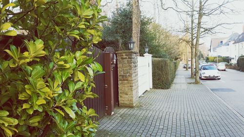 Walkway leading to building