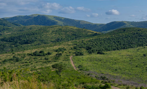 Hluhluwe imfolozi park nature reserve south africa