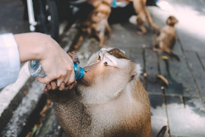 High angle view of man holding hands