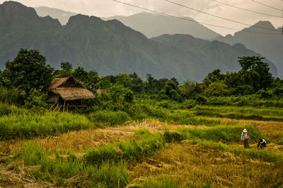 Scenic view field and mountain against sky