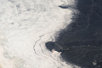 High angle view of dog on land