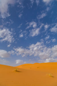 Scenic view of desert against sky