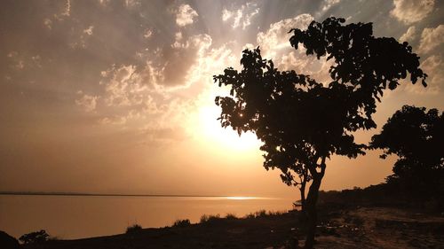 Silhouette trees against sky during sunset