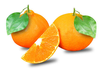 Close-up of orange fruit against white background