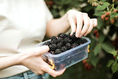 Midsection of woman holding fruit