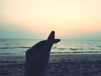 Cropped hand at sea shore during sunset