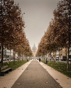 Footpath amidst trees in city