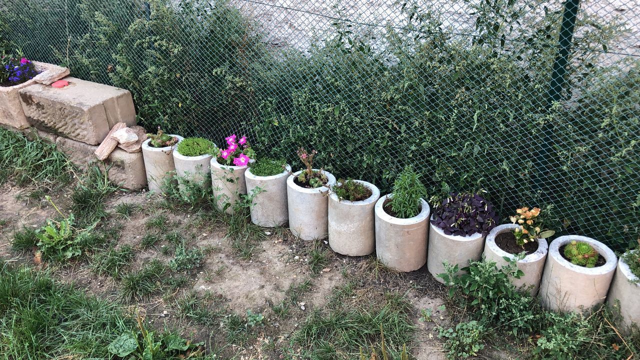 HIGH ANGLE VIEW OF POTTED PLANT IN GARDEN