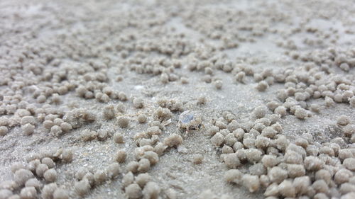 Full frame shot of sand