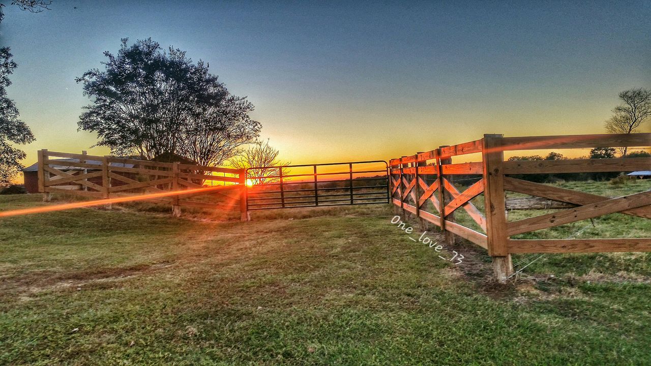 clear sky, grass, tree, field, sunlight, sunset, sun, bridge - man made structure, railing, connection, built structure, tranquility, nature, copy space, architecture, sky, landscape, growth, tranquil scene, fence