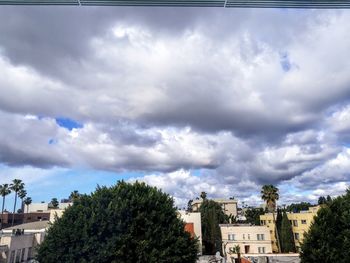Trees and buildings against sky