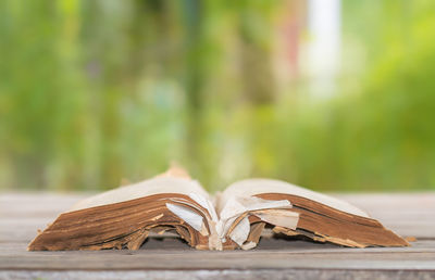 Close-up of old open book on wooden table