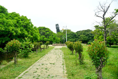 Footpath in garden against clear sky