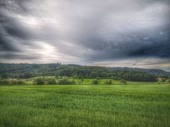 Scenic view of field against sky