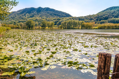 Scenic view of lake and mountains against sky