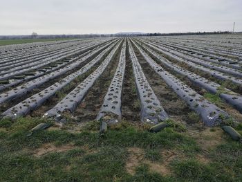 Panoramic shot of agricultural field against sky