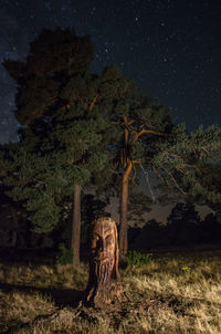 View of statues on land at night