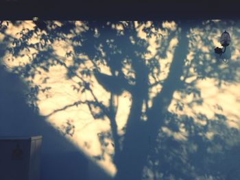 Low angle view of trees against sky