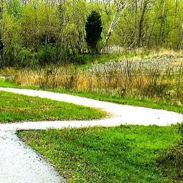 green color, the way forward, water, diminishing perspective, grass, growth, vanishing point, nature, tranquility, canal, plant, reflection, tree, tranquil scene, day, high angle view, outdoors, narrow, no people, beauty in nature