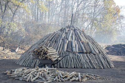 Wooden logs in forest