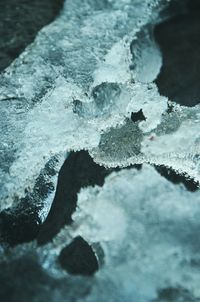 Close-up of frozen water