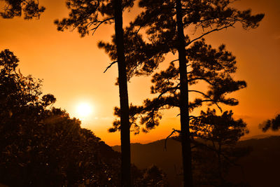 Silhouette trees against sky during sunset