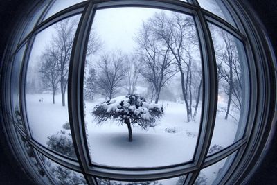 Snow covered landscape