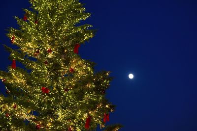 Low angle view of illuminated tree against sky at night