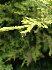Close up of water