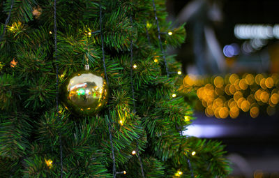 Illuminated christmas tree at night