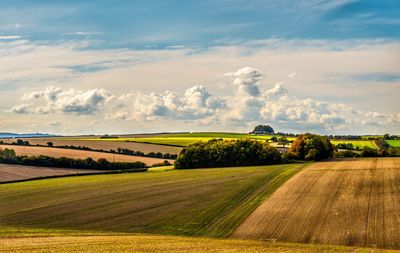 Scenic view of agricultural field against sky