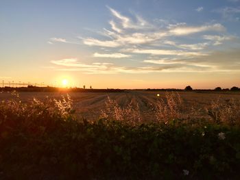 Scenic view of field against sky during sunset