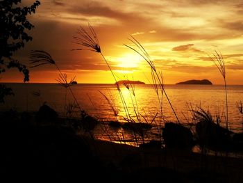 Scenic view of sea against orange sky