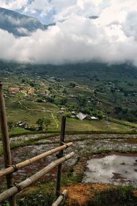 Scenic view of agricultural landscape against sky