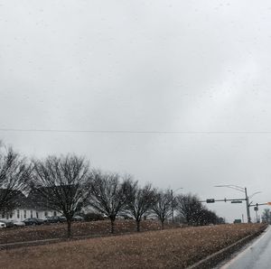 Bare trees on field against sky during winter