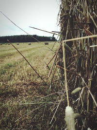 Barbed wire fence on field against sky