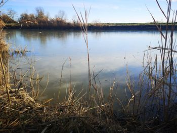 Scenic view of lake against sky