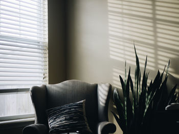 Sofa by house plant against wall at home