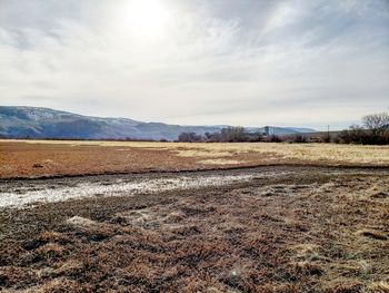 Surface level of field against sky