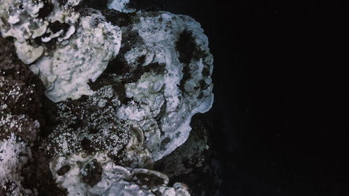 Close-up of ice crystals on rock against black background